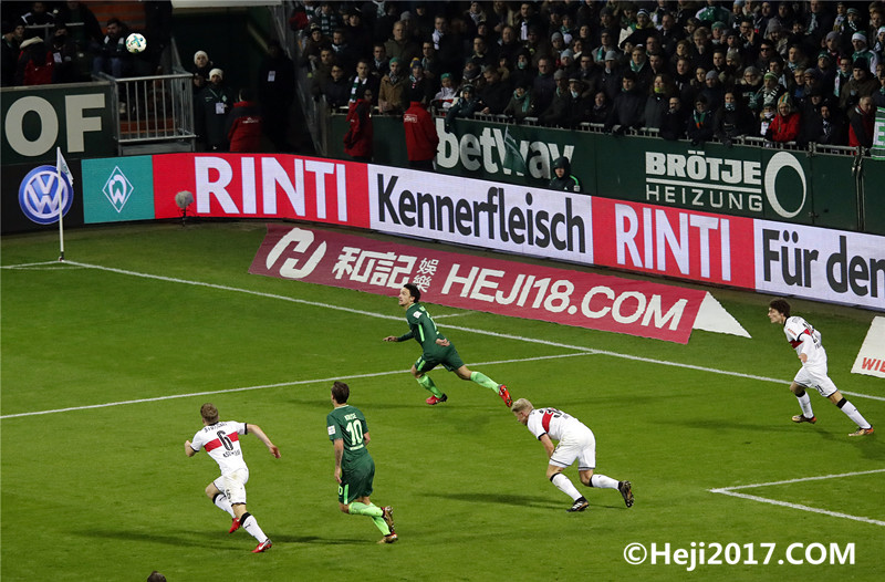  霍芬海姆主场憾平劲旅，德甲保级压力骤增  